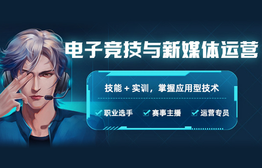 4DӰ�Ӷ�����Ϸ���ʦרҵ����